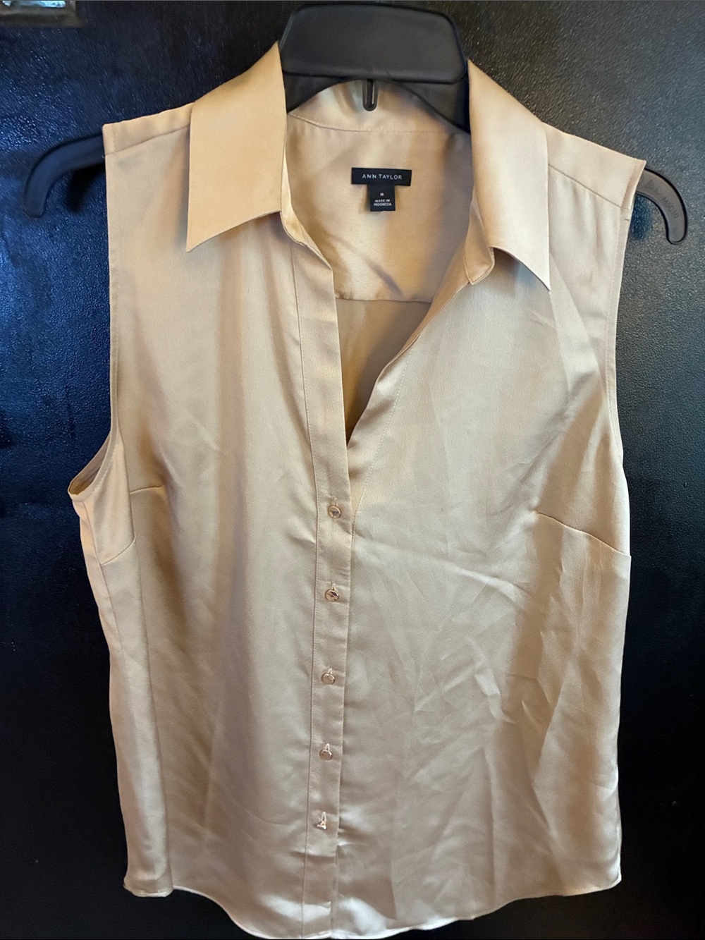 Ann Taylor Silky Sleeveless Collared Button-Front Top in Light Beige M